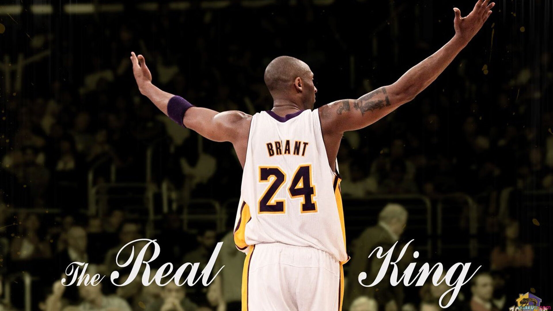 火力全开!洪都拉斯压制丹麦,迪马利亚一锤定音成关键先生